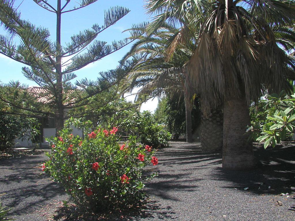 Casa Nerea Villa Tazacorte Eksteriør bilde
